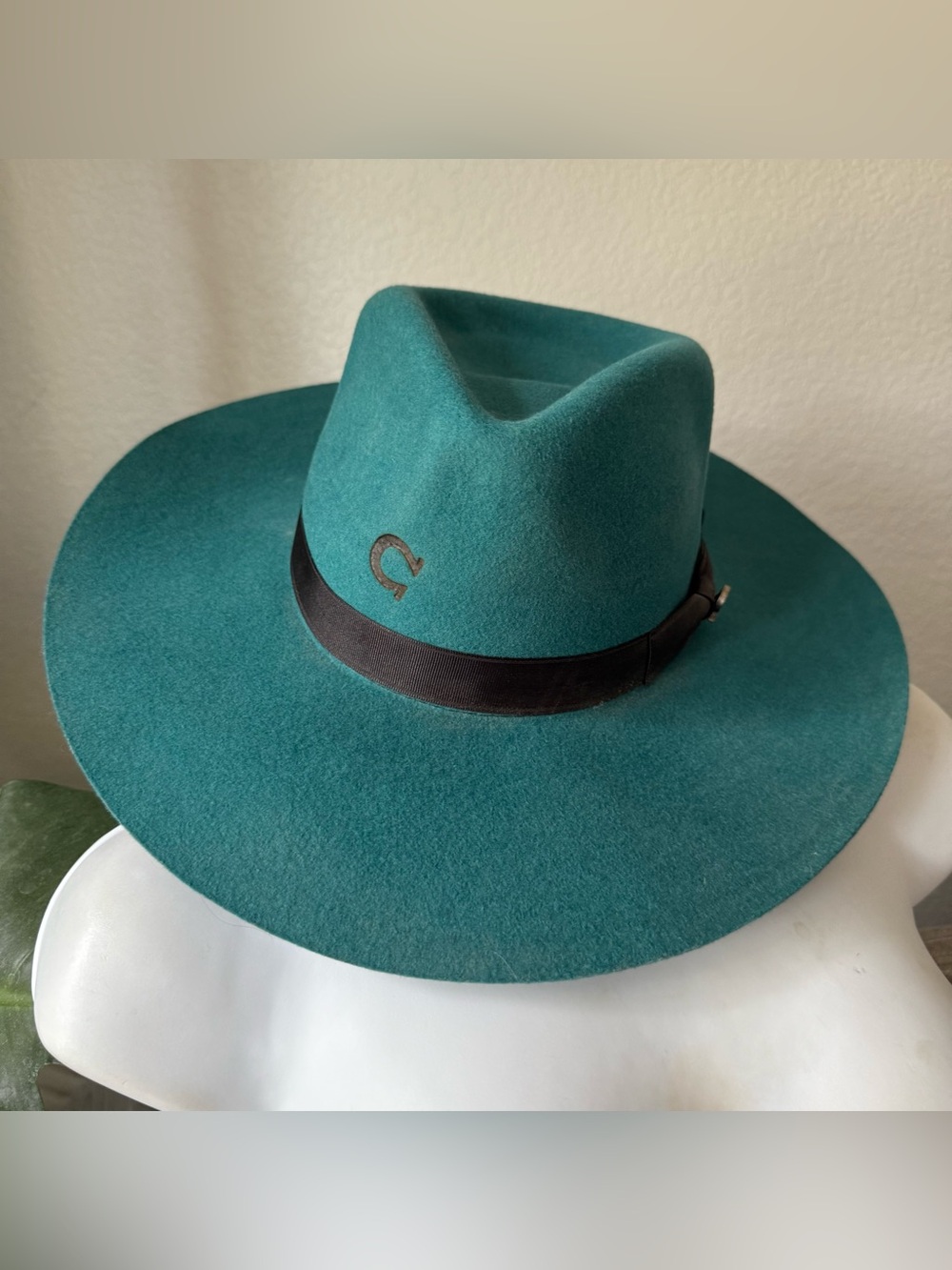Charlie 1 Horse Teal Highway Ribbon Band Western Cowboy Hat Large